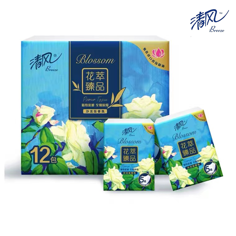 J-【144张】清风花萃臻品纸巾沙龙香氛系列5层6张12包手帕纸*2条（24包）