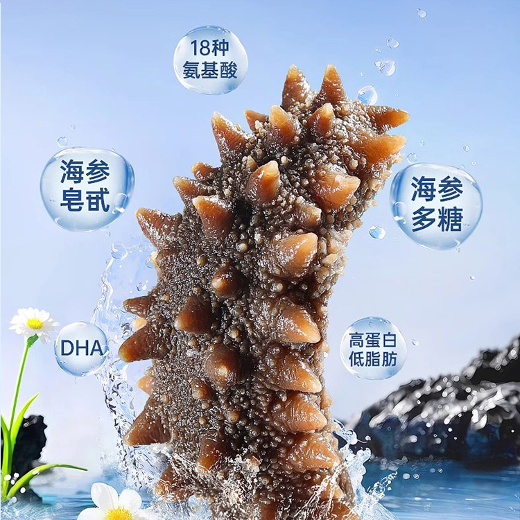 喜礼予你即食海参辽参源自深海高品质甄选辽宁大连海参御品冰极鲜参礼盒辽刺参6-10头1000g【西藏、青海、新疆、甘肃、宁夏、内蒙古、海南、港澳台 不发货】