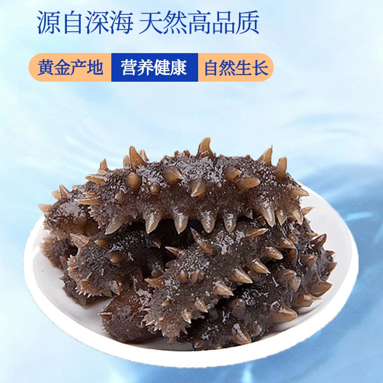 喜礼予你即食海参辽参源自深海高品质甄选辽宁大连海参品质海参尝鲜装辽刺参10-12头200g【西藏、青海、新疆、甘肃、宁夏、内蒙古、海南、港澳台 不发货】